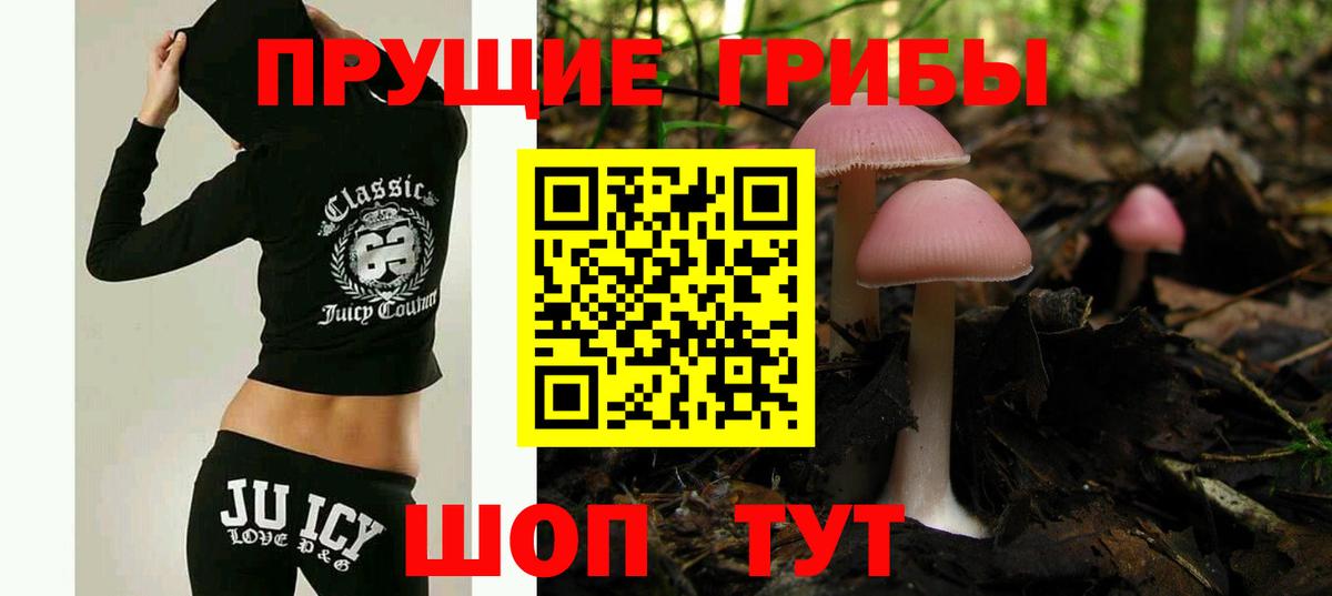 Псилоцибиновые грибы прущие грибы Заречный