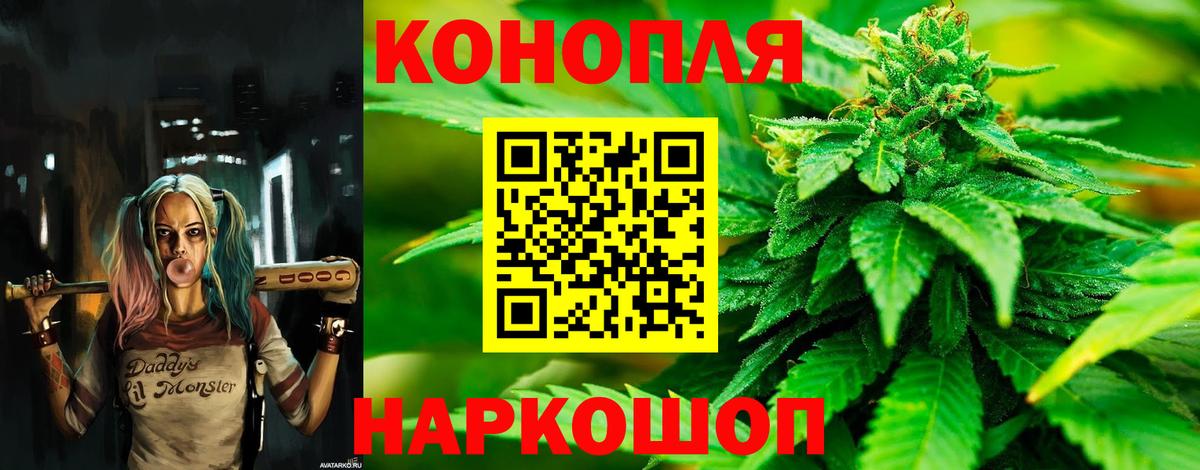Заречный  Каннабис семена  Вход с VPN  Каннабис семена 